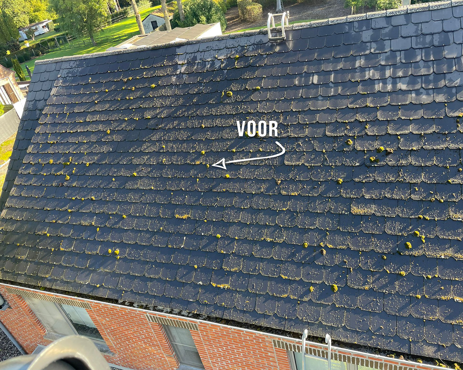 Dak Ontmossen Voor en Na